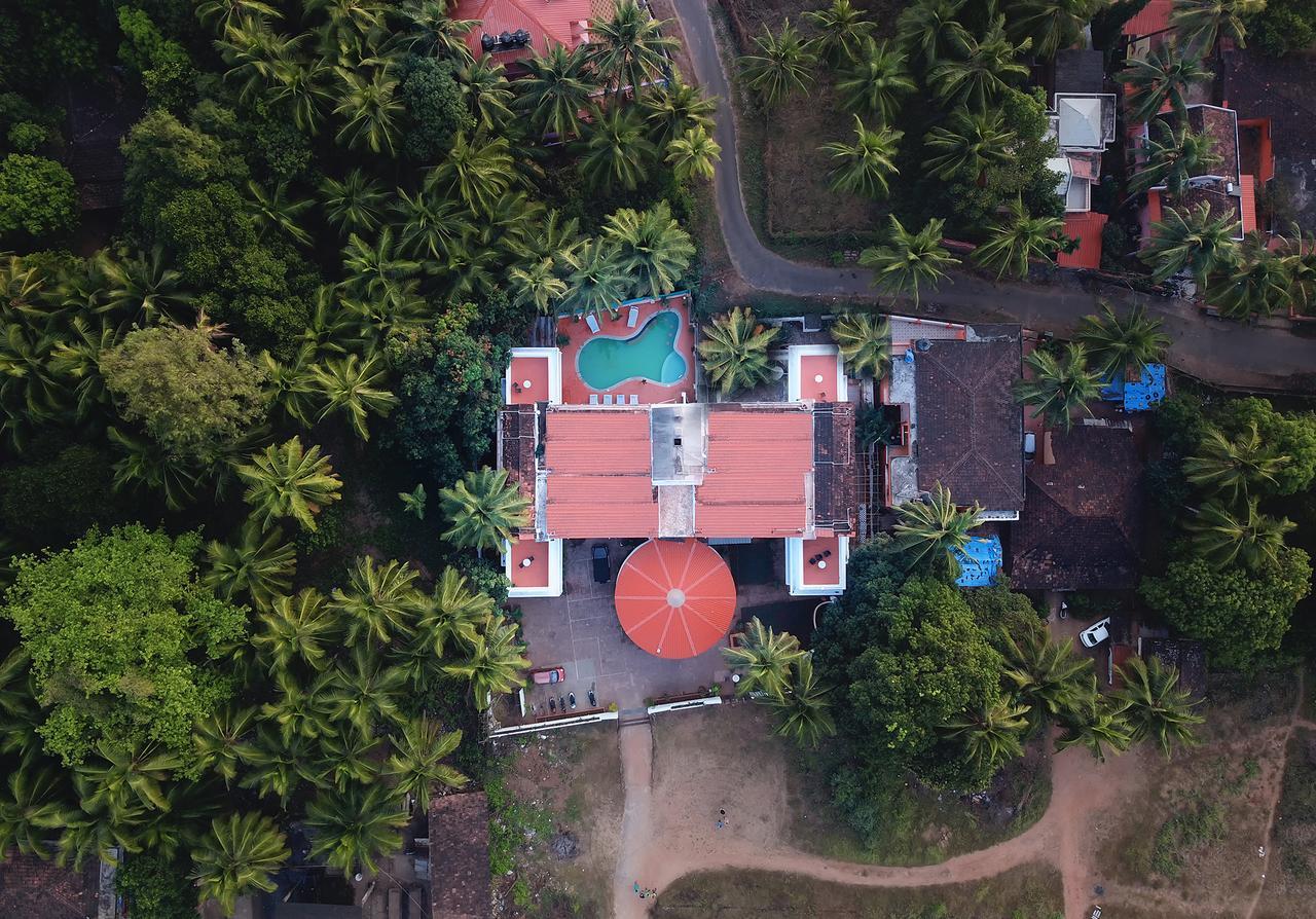 Отель Treehouse Stamp Колва Экстерьер фото
